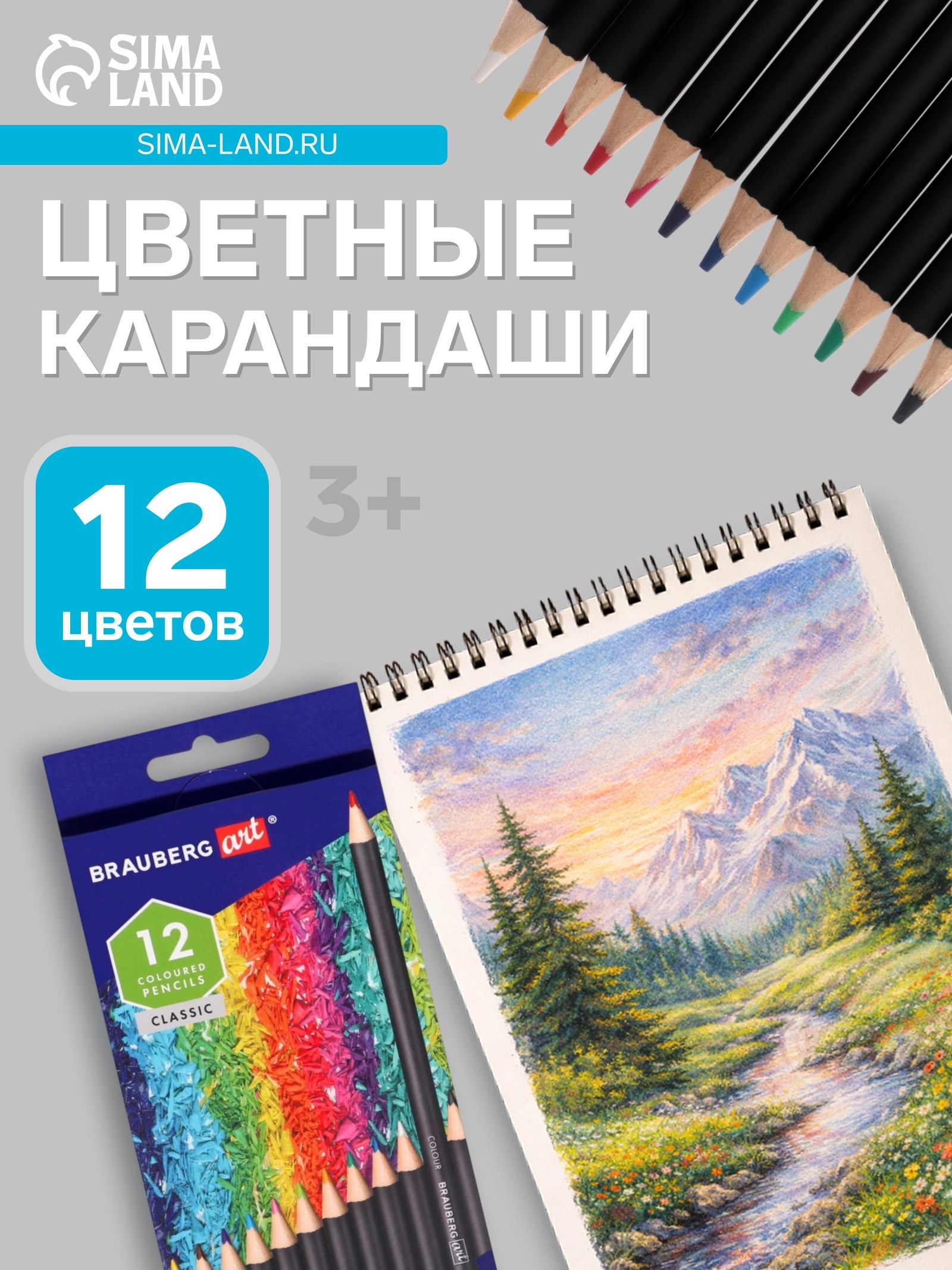 Карандаш Braden Water 8031 12цвет