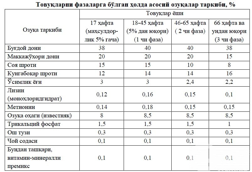SST Тухум Kategoriya-D2