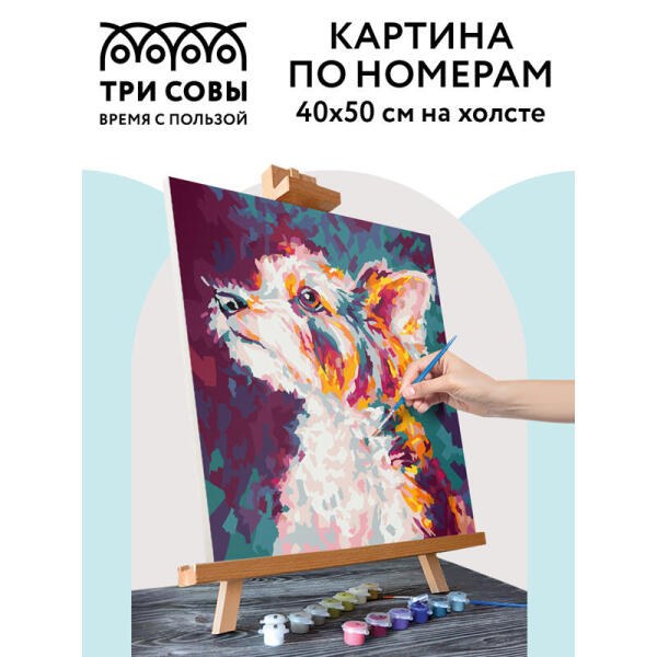 Картина по номерам  40*50см