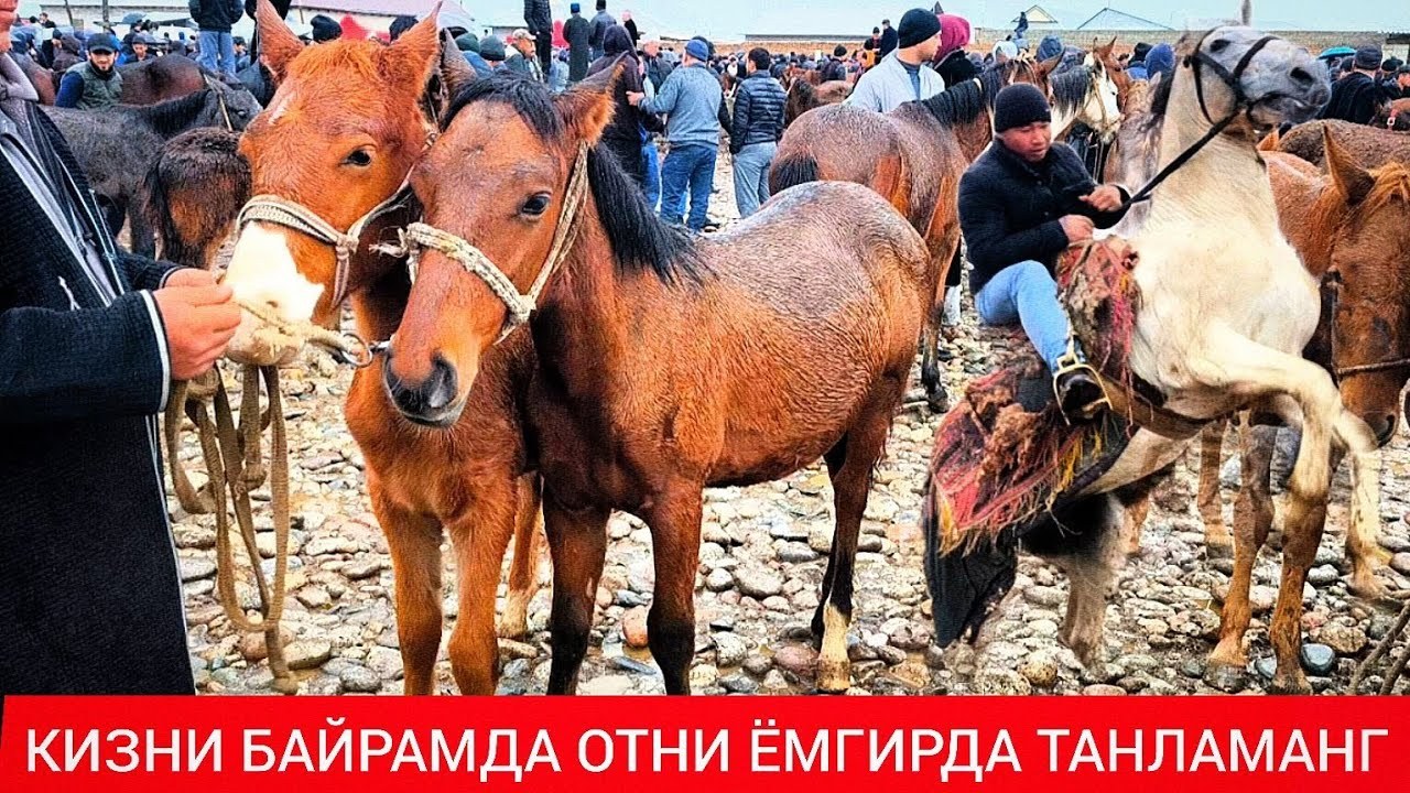 бироз ёмгир кимсани ранжитмас