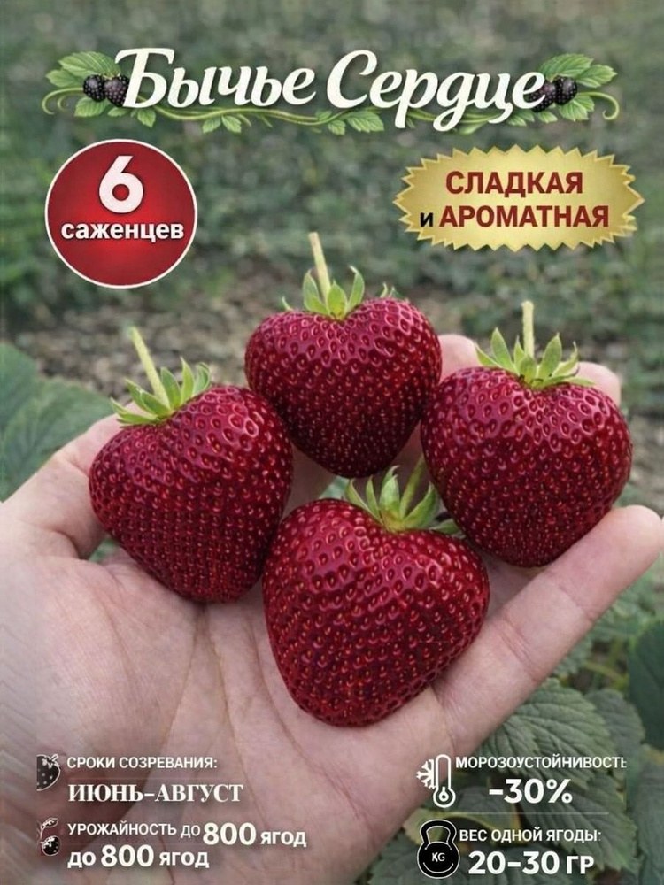 Клубника Гибрид 1кг