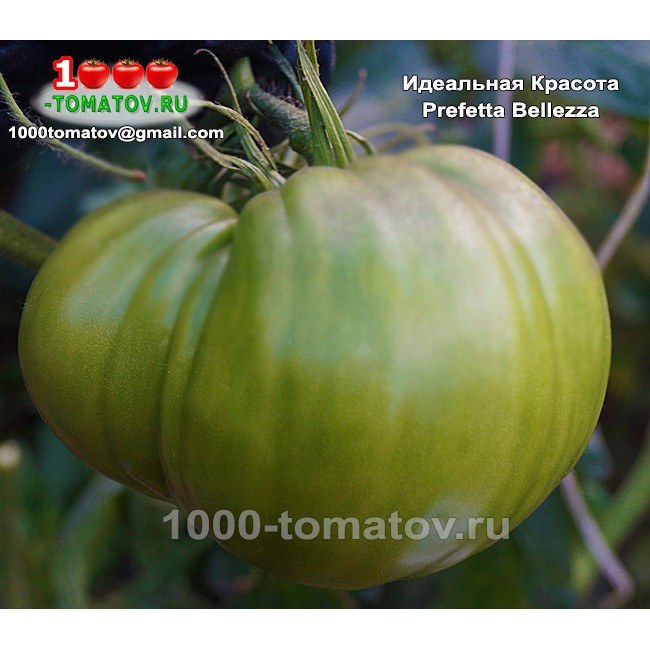 Ideal Томат 1000гр