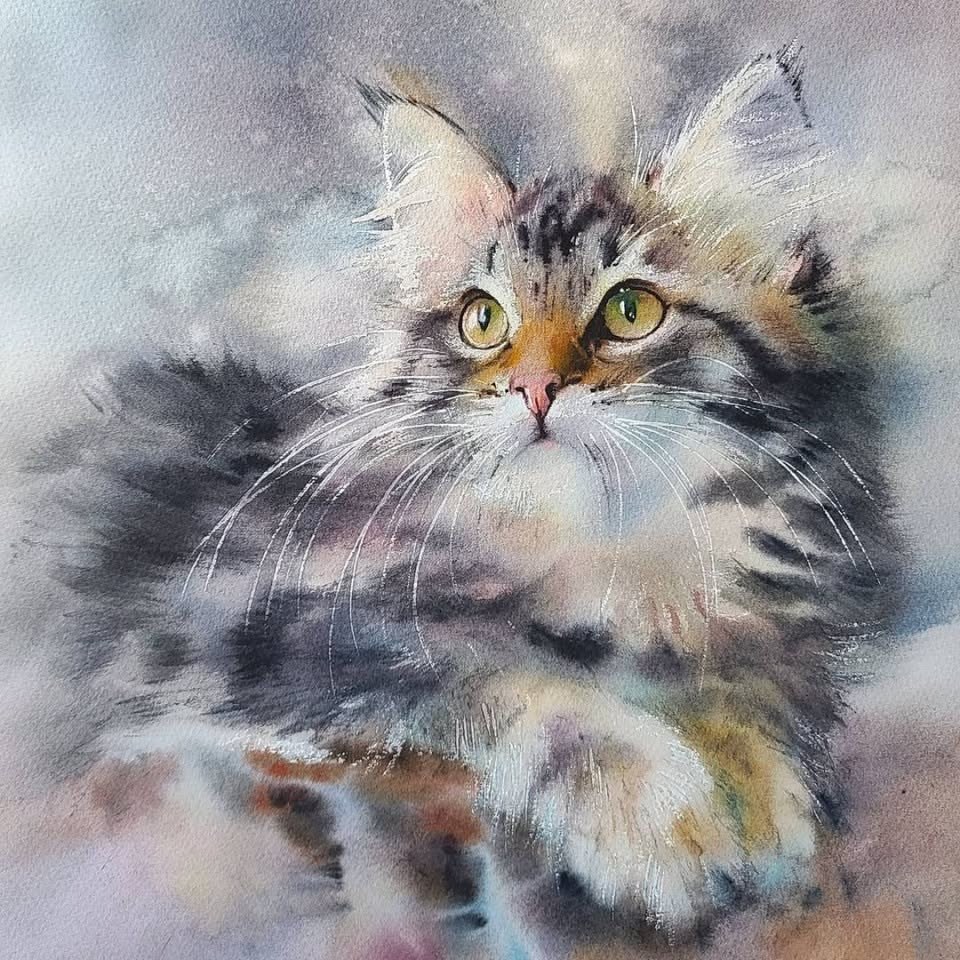 Happy Cat Акварель 12цветов 52-25