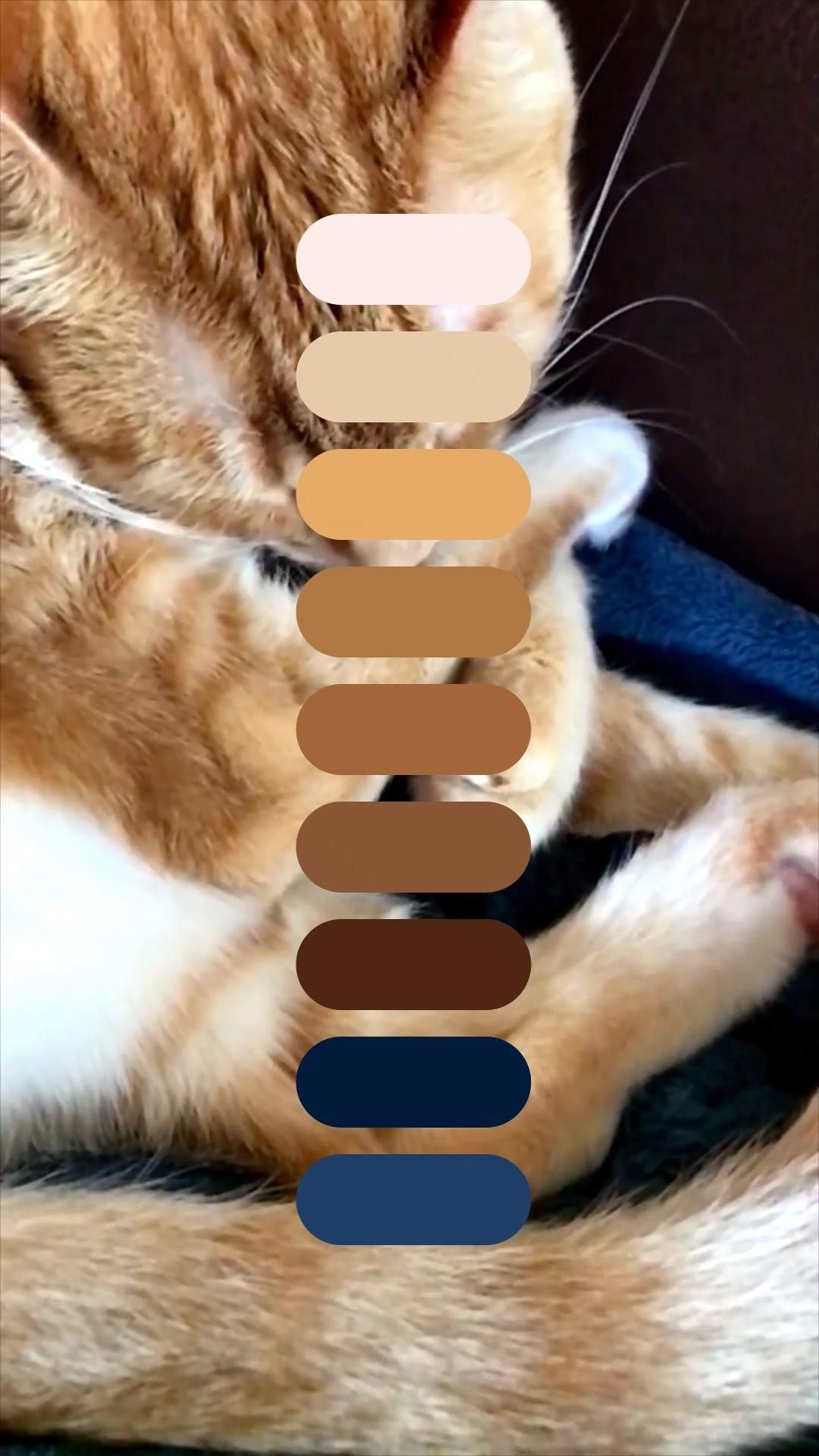 Happy Cat Палитра 2127