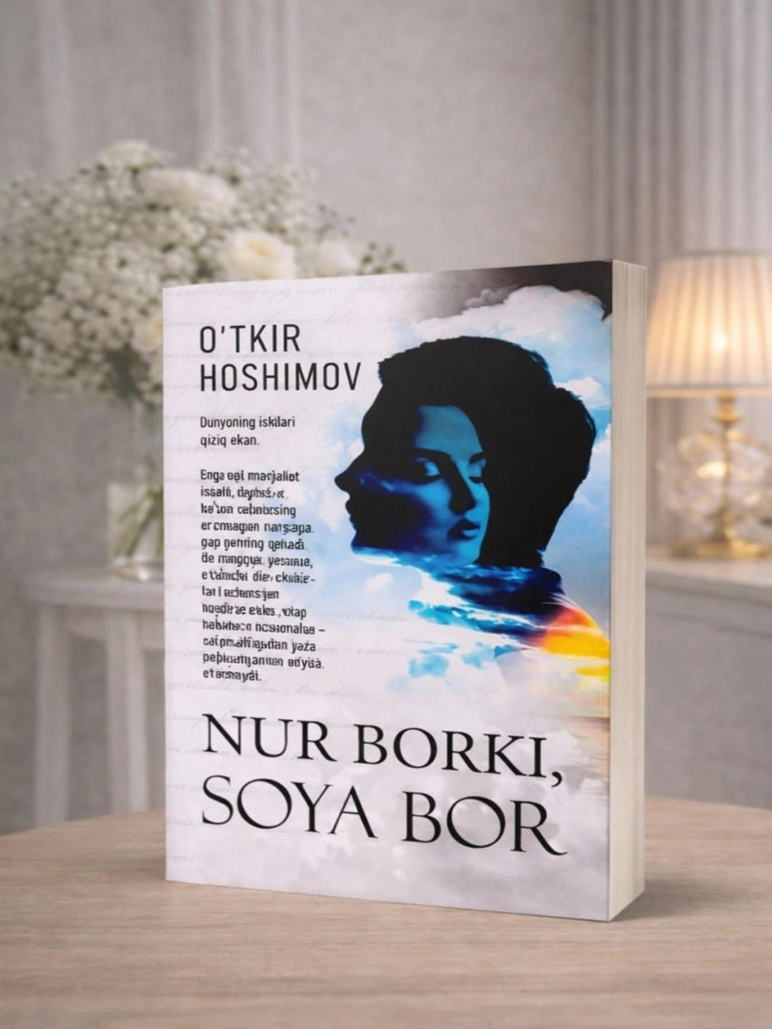нур борки соя бор
