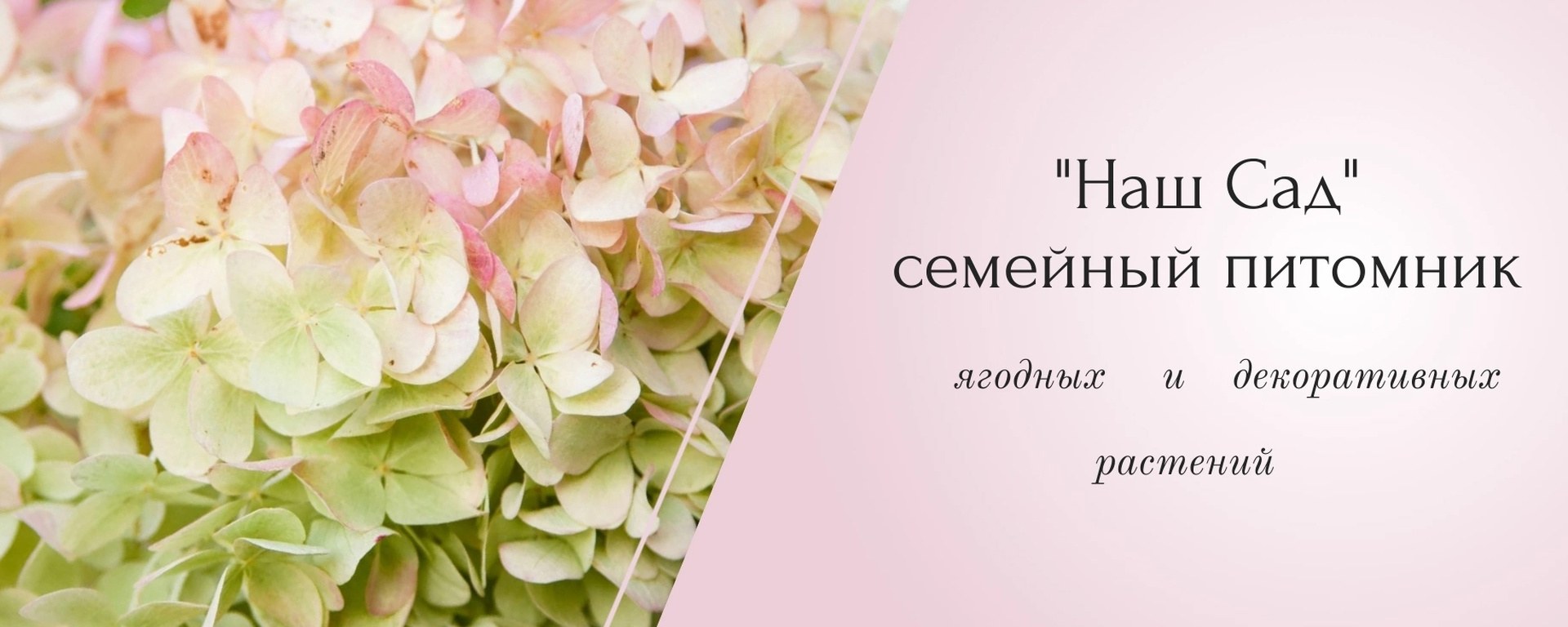 Нащ Сад Довча Dovcha 330мл