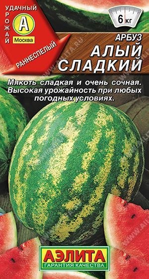 Арбуз Копилка 1шт