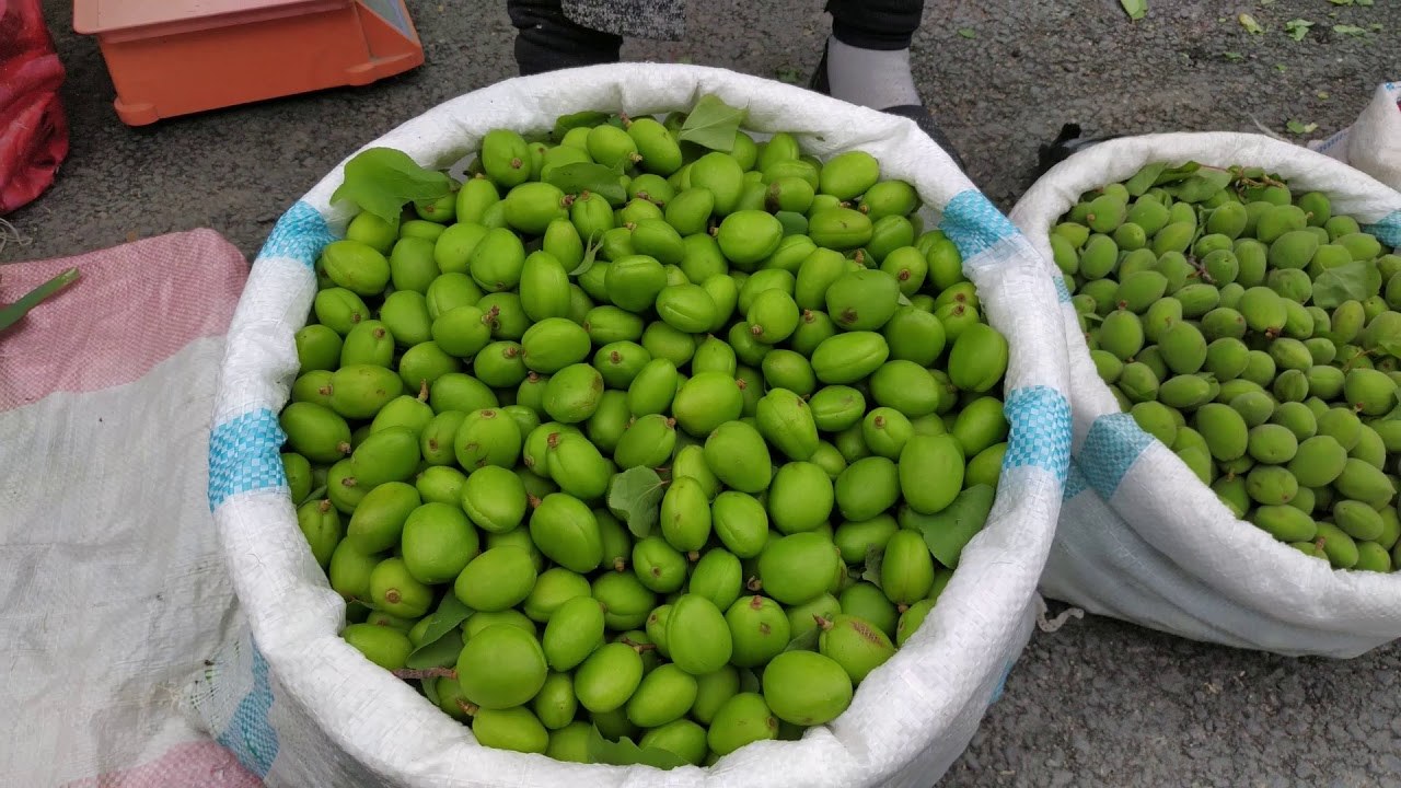 Madad Гура Довча 720гр
