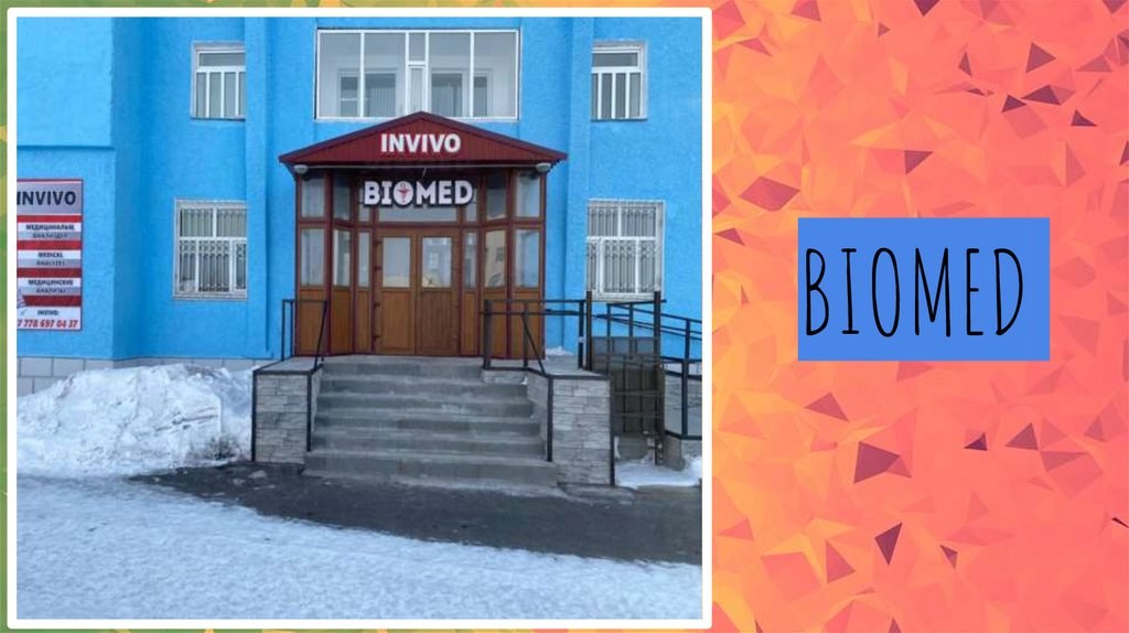 Biomed ЗЩ в ассор. 1+1