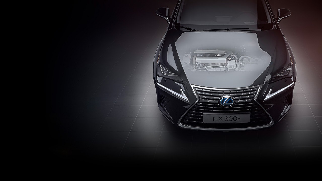 Lexus Ассор. подароч. в ассор. цилиндр 180гр