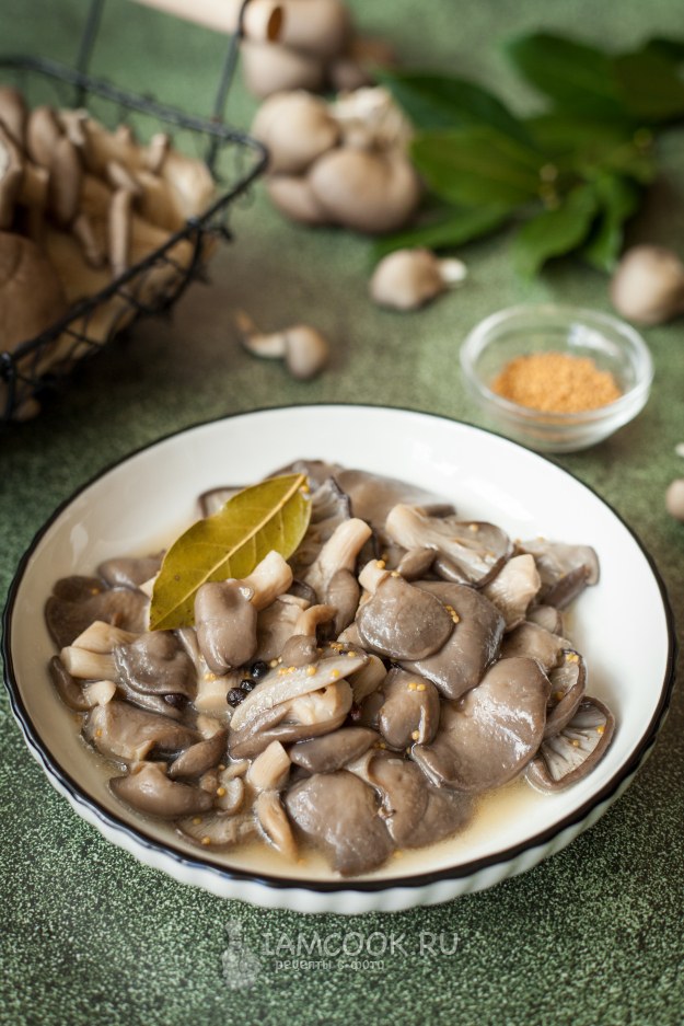 Samara Food марин. Вешенки 1л