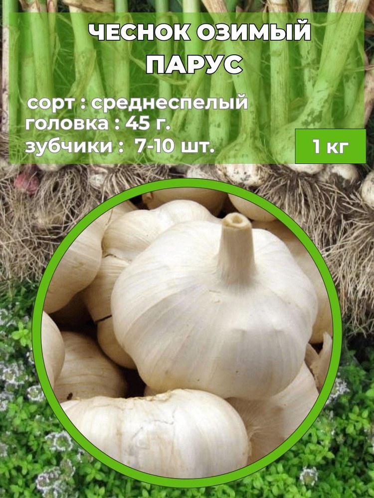 Чеснок 1кг