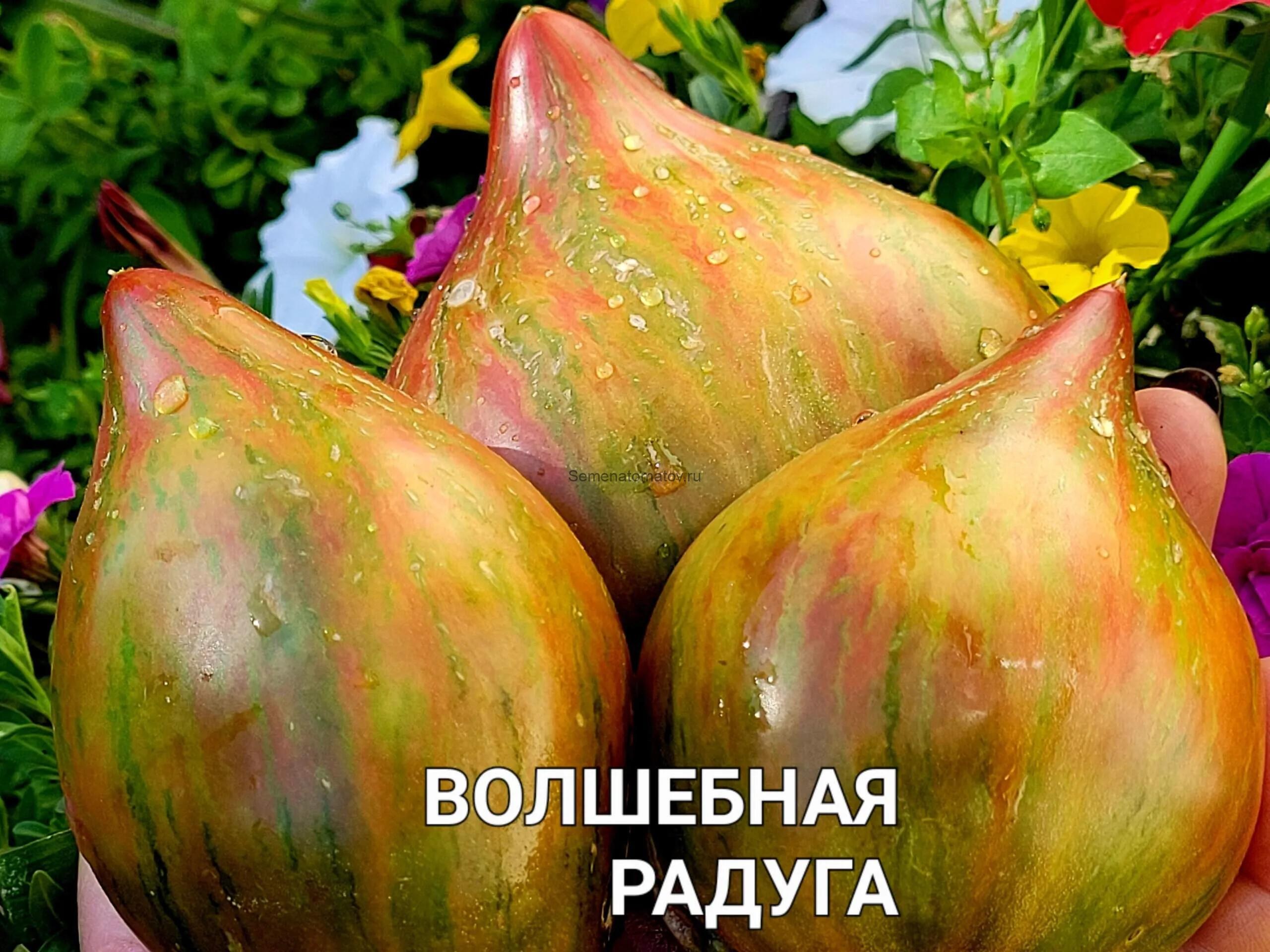 RZ PR Raduga Радуга 400гр 1504