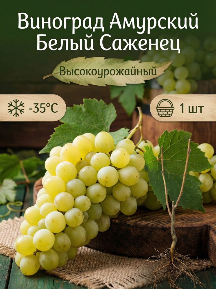 Sherin Элитные кол. Аристократ 1шт 10003