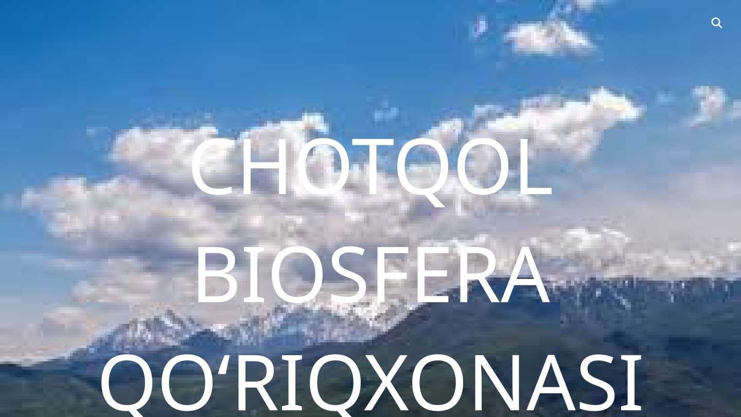 Chotqol 500мл