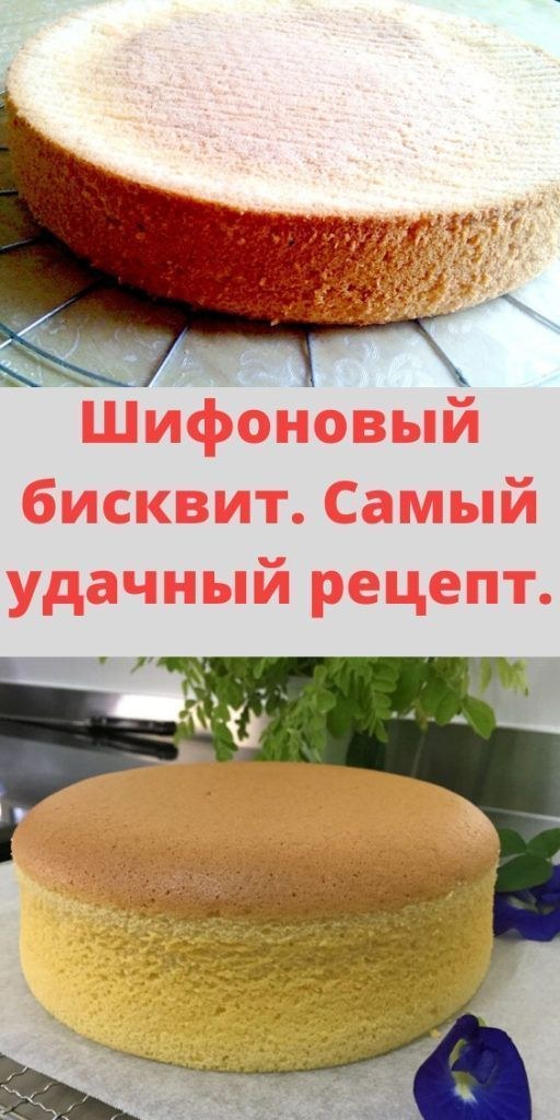 Каждый день мечтаю Бисквит