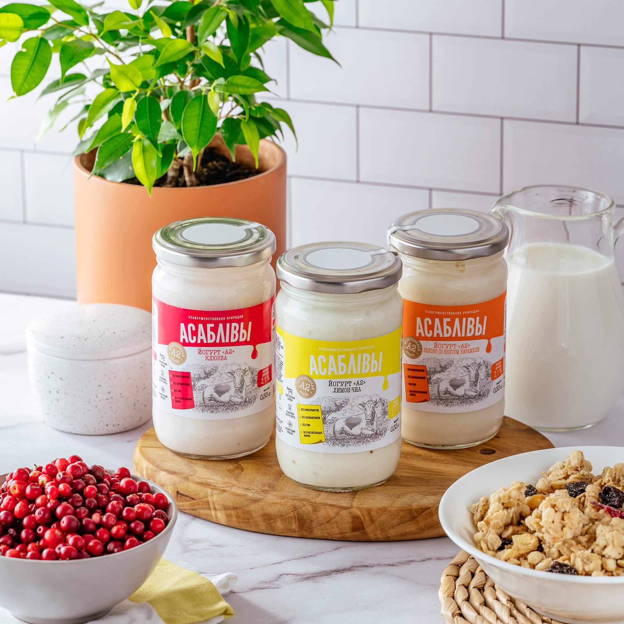 Agro Bravo йогурт в ассор 480гр