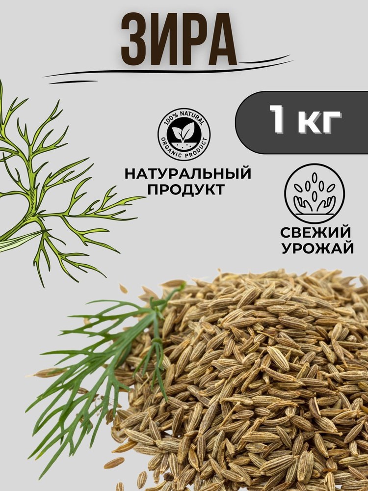 AZ Карта Зира 1кг