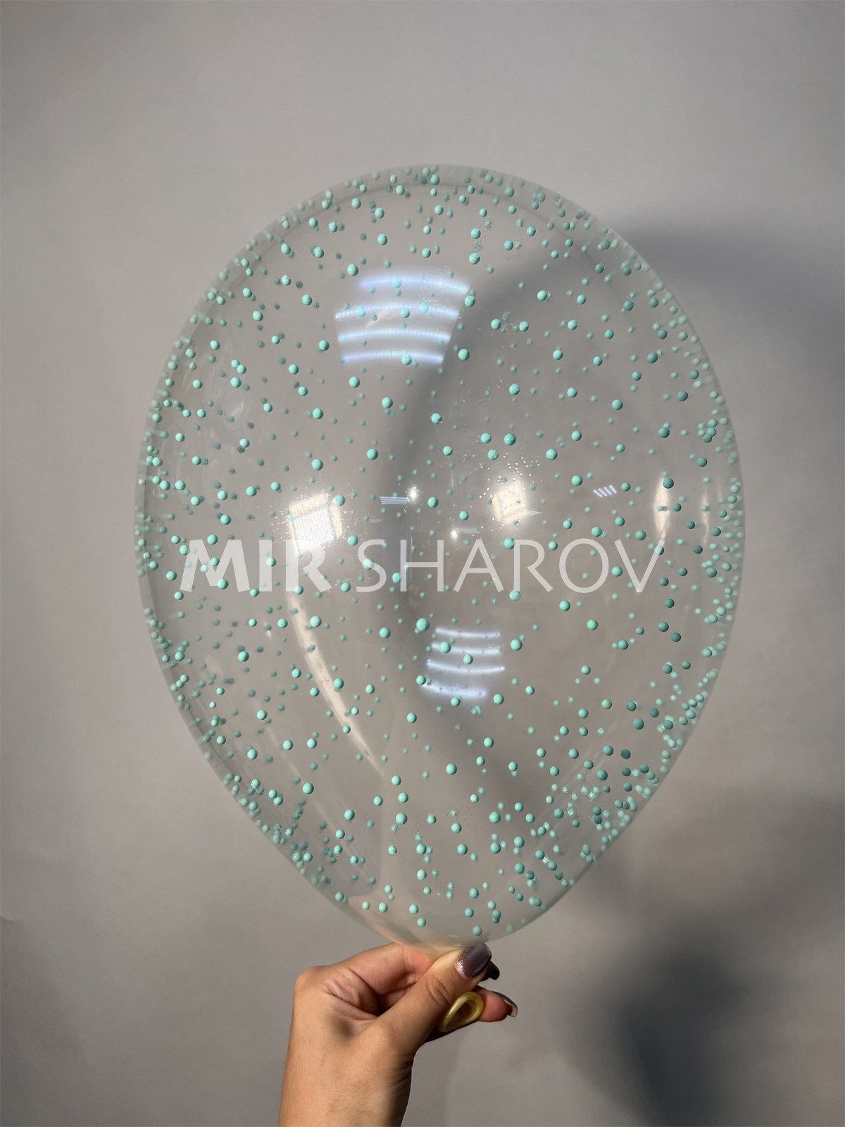 Baloon Прозрачные шарики с круг пластинкой