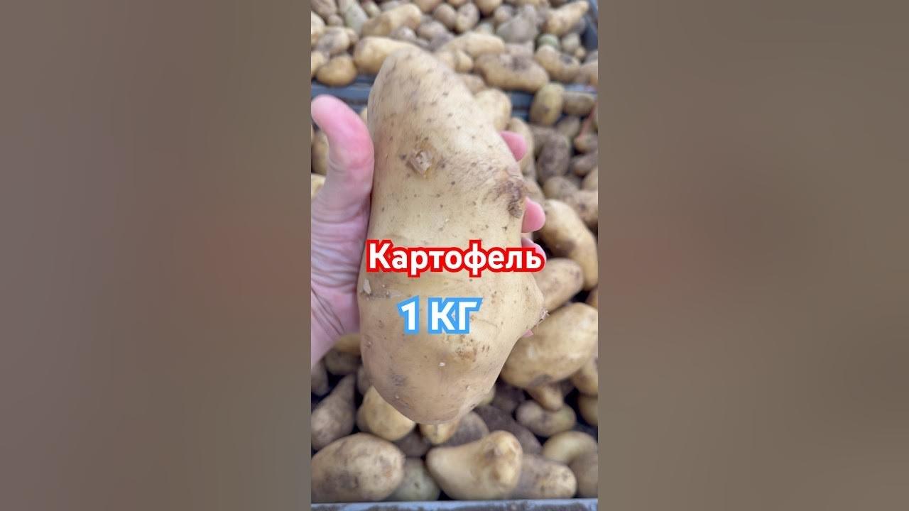 Crafers картоха 1кг