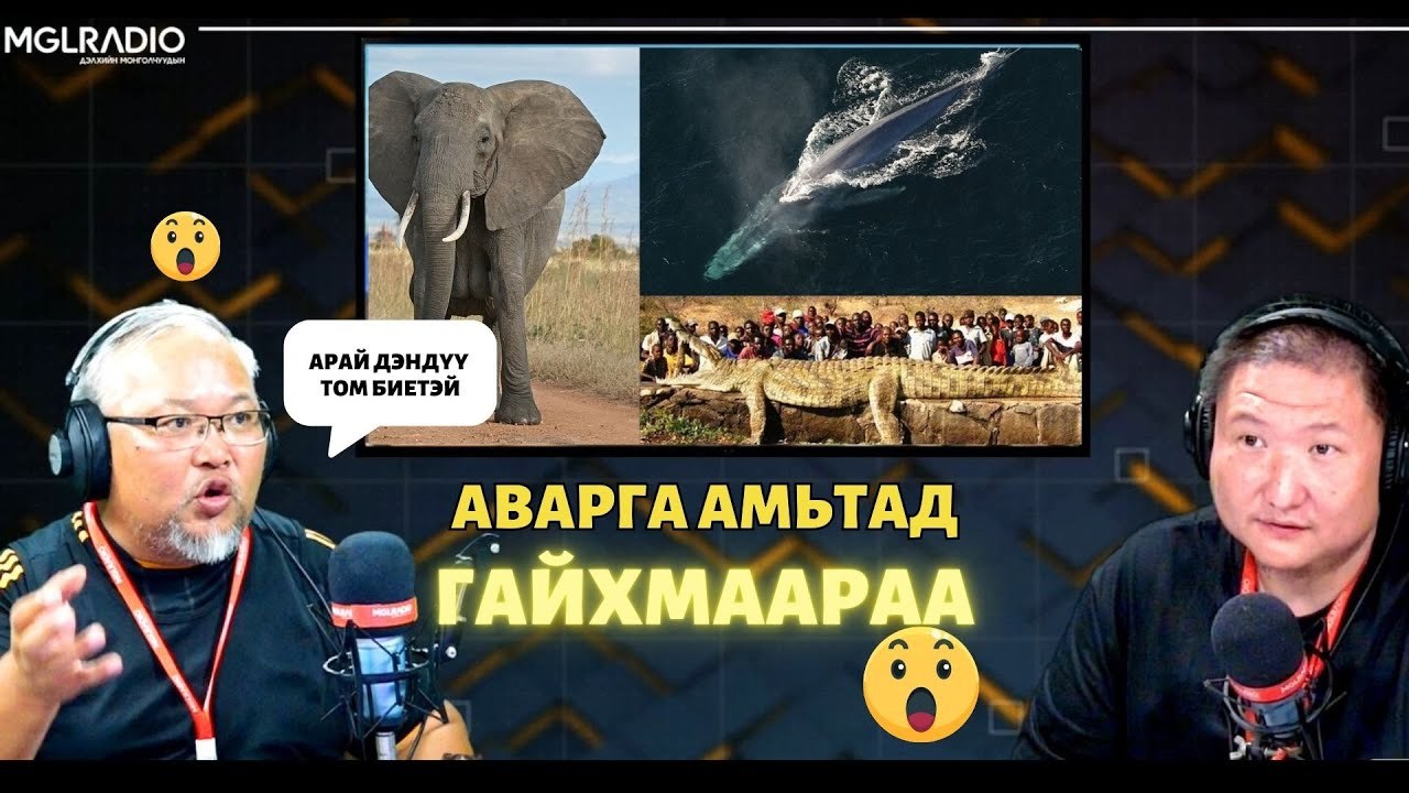 Гайхмаараа 408
